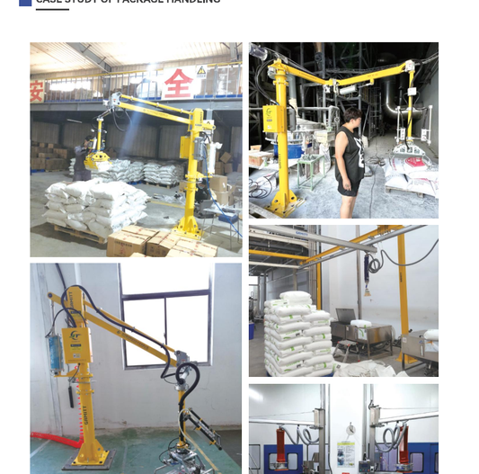 Industrial manipulator for bag and package handling applications